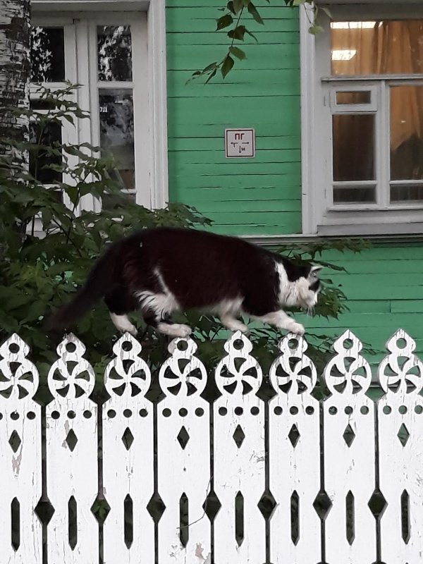 Резной штакетник город Ачинск
