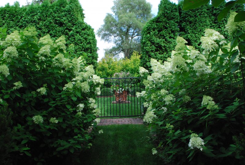 Green Decor Оренбург