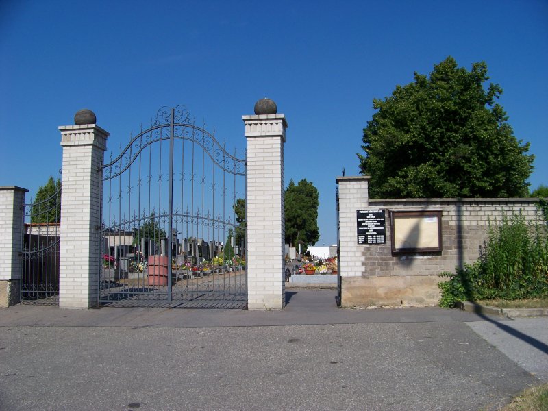 Ворота для школа арка