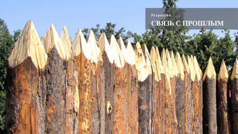 Забор из деревянных кольев
