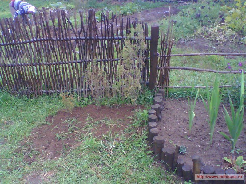 Орешник забор
