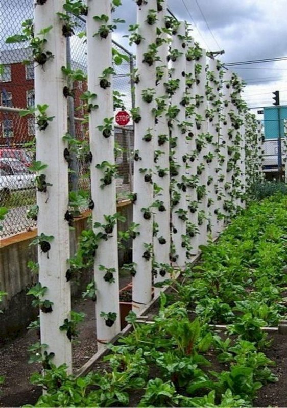 Забор декоративный renessans №2, 3,1х0,35 м, белый, GARDENPLAST