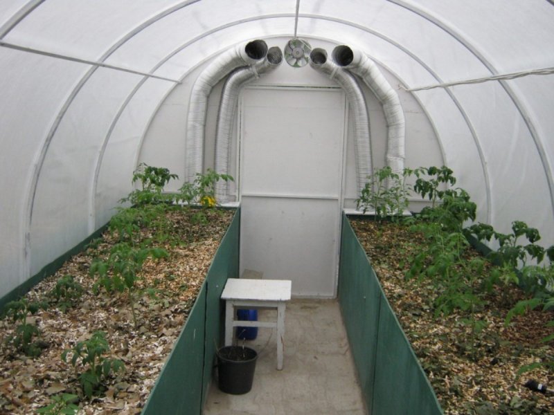 Зимняя теплица 6*3