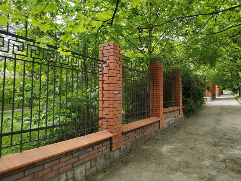 Каменный забор ранчо Живая изгородь