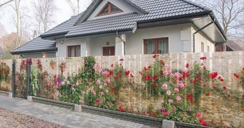 Фотосетка гортензия