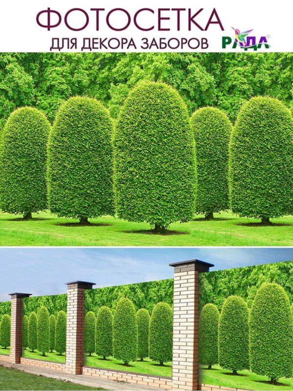 Фотосетка для забора