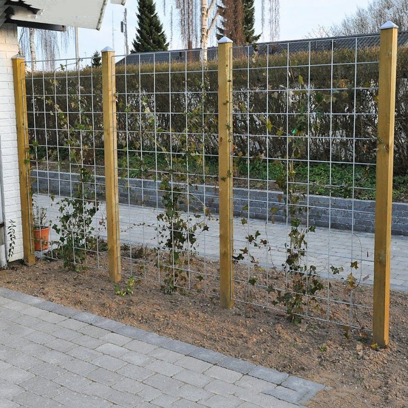 Шпалера на кирпичном заборе