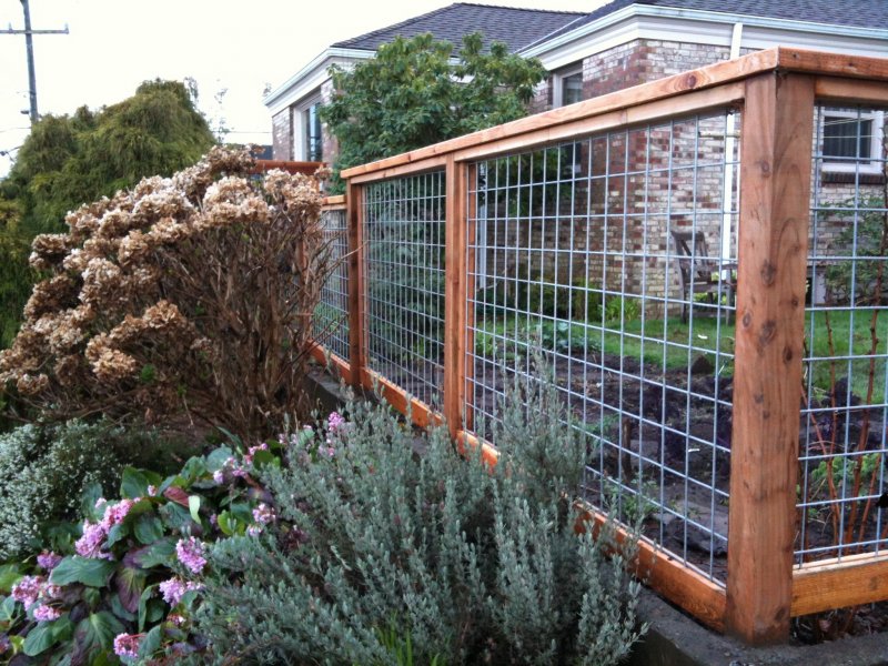 Robinson Fence