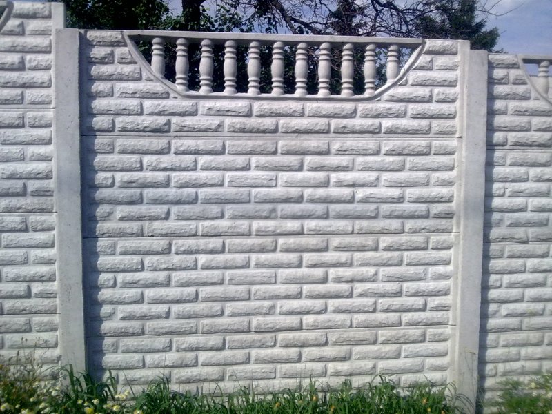 Забор ж 29