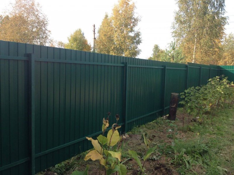Забор профлист изнутри