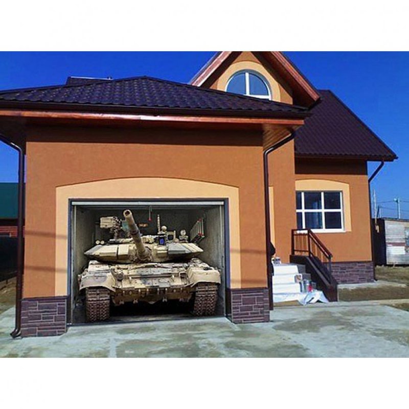 Аэрография животных