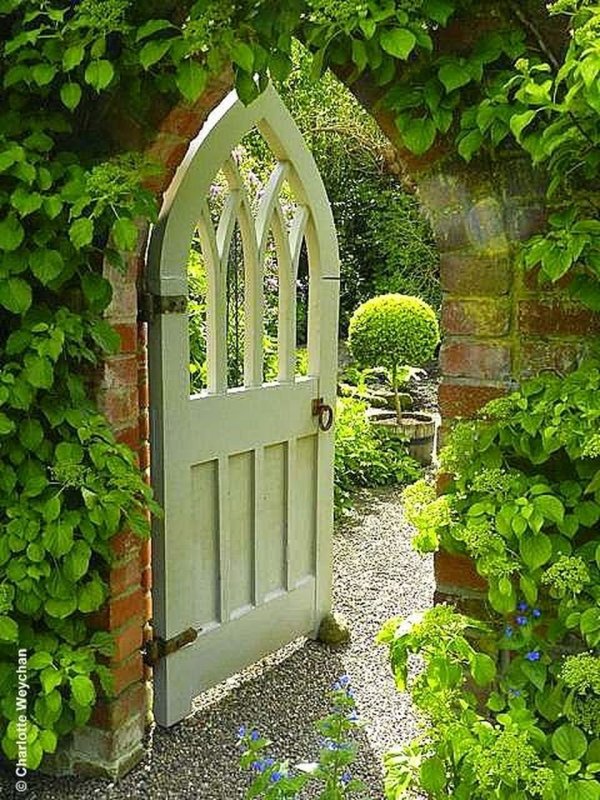 Гарден гейт (Garden Gate) плетистая