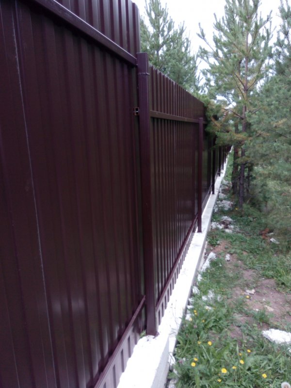 Ландшафт вдоль забора