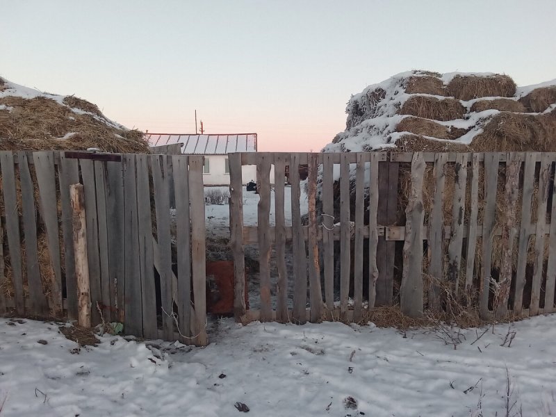 Деревенский забор