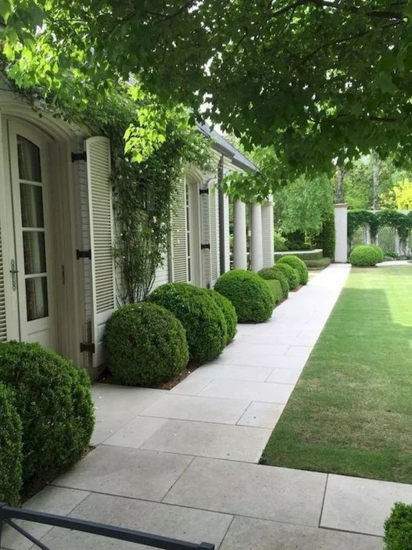 Ландшафтный дизайн Landscape Design