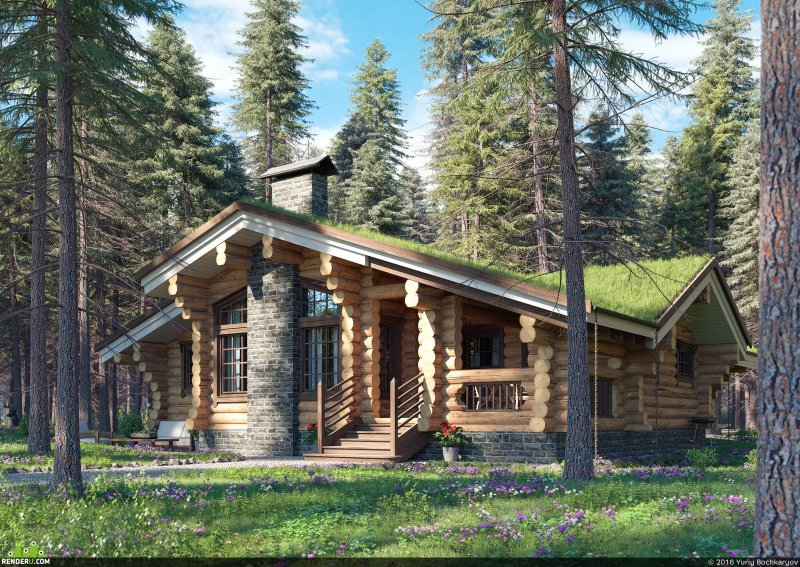 North Forest деревянные дома