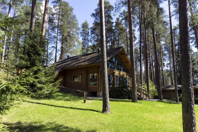 Лесное озеро Репино