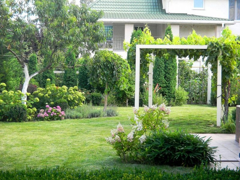 Ландшафт дачного участка с плодовыми деревьями