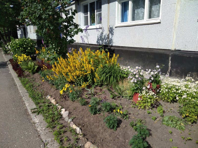 Клумба на окне