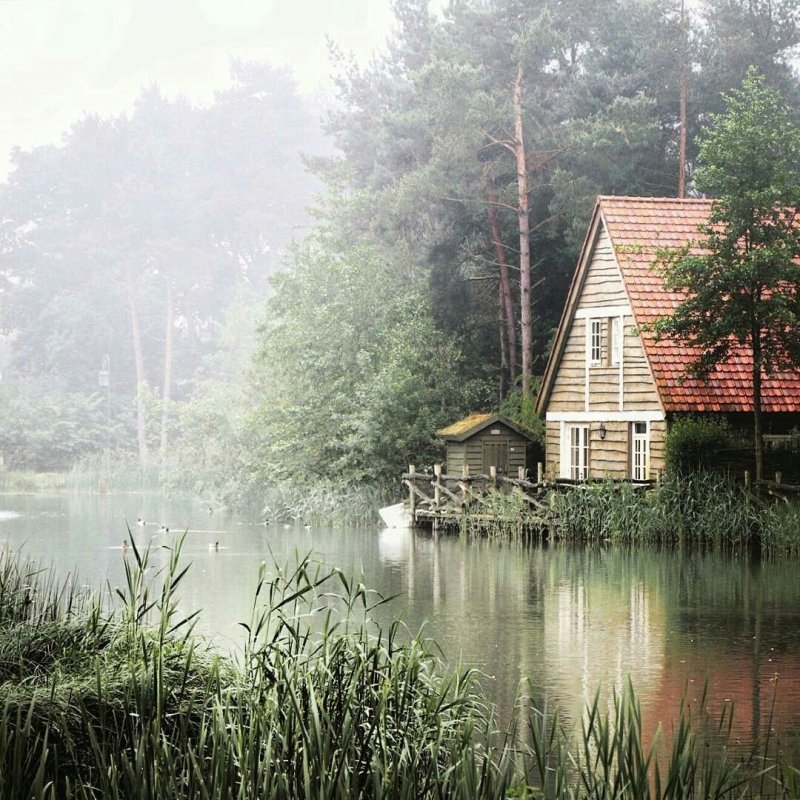 Сериал дом у реки (River Cottage)