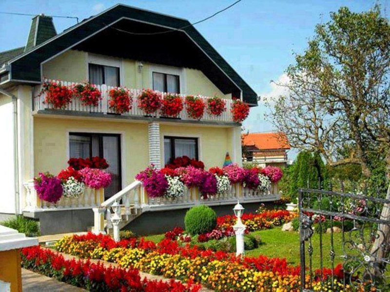 Украшенные дома растениями