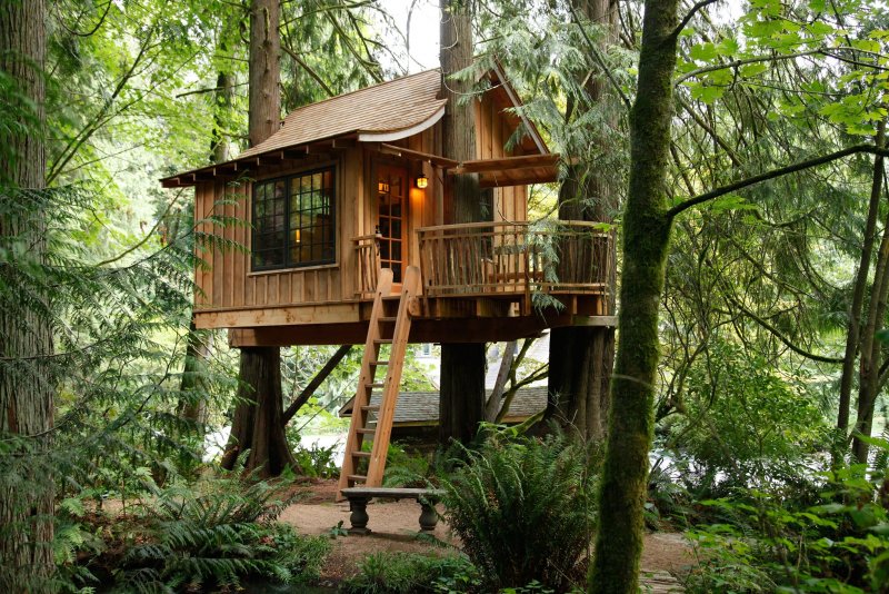 Treehouse домик на дереве