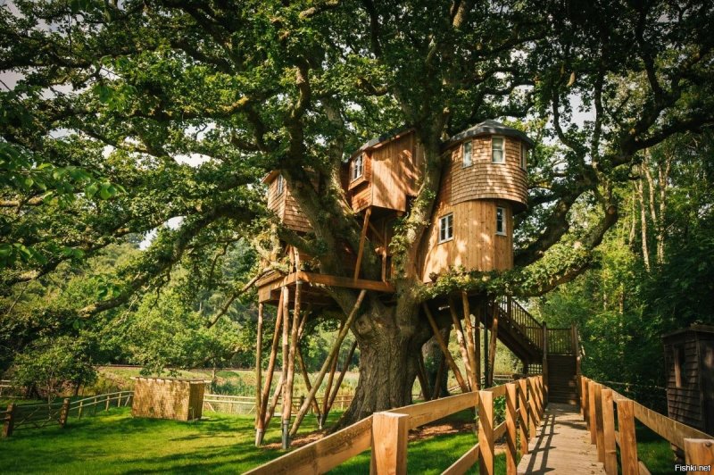 Treehouse Новогорск