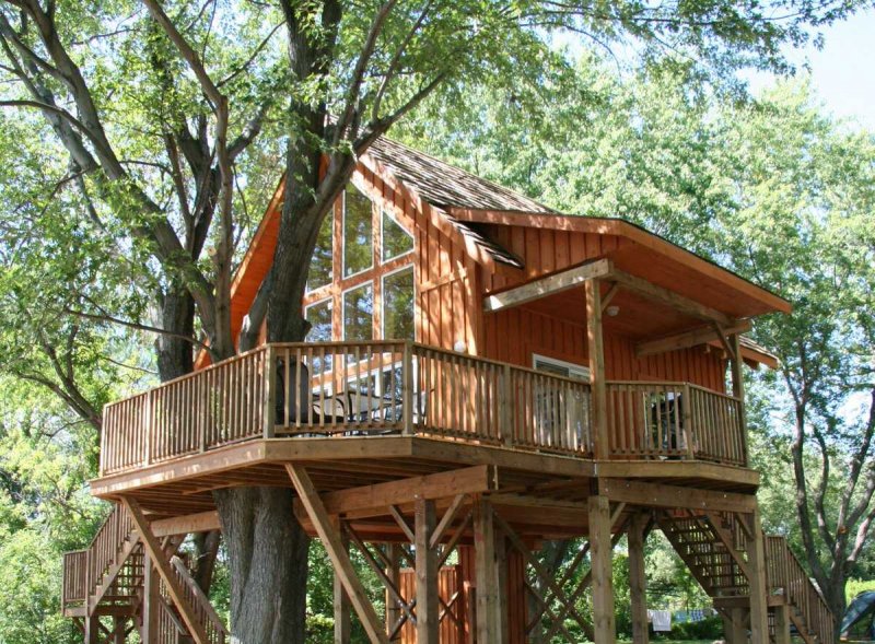 Treehouse домик на дереве