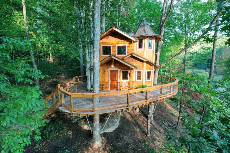 House on the Tree отель