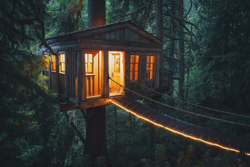 Hobbit Treehouse, США