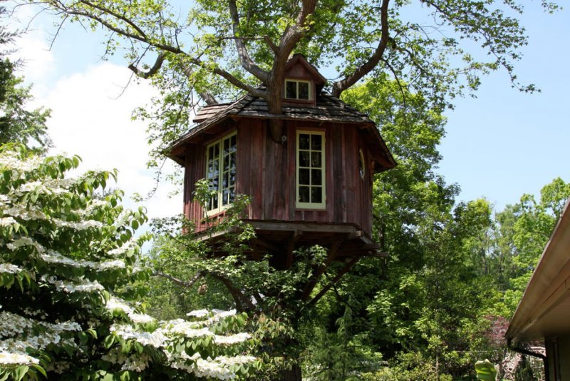 Treehouse Masters Pete Nelson