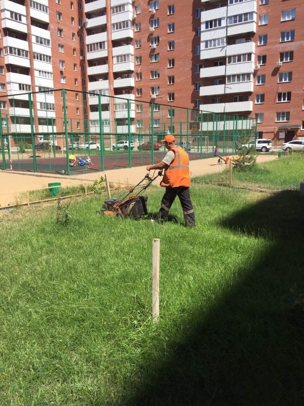 Газон возле подъезда