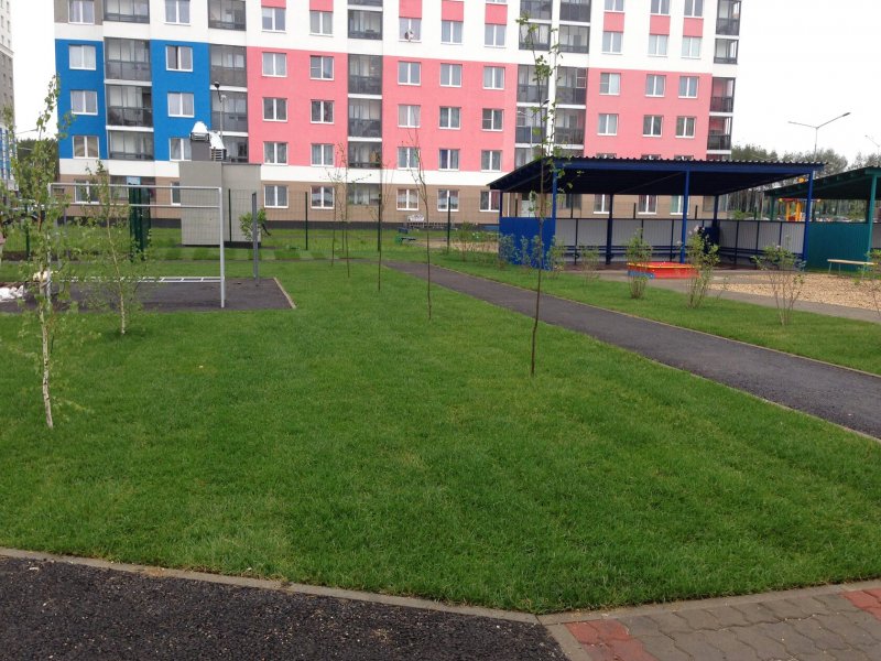 Craigslist Lawn and Garden