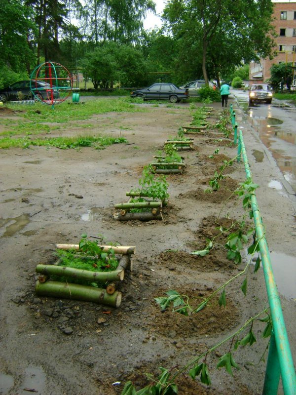 Облагороженный двор многоэтажки