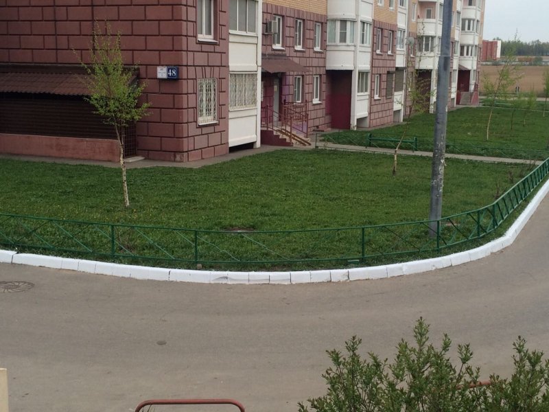 Газон во дворе многоквартирного дома