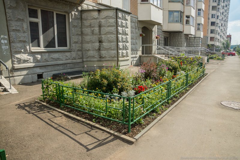 Клумбы возле подъезда