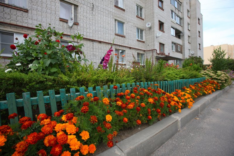 Клумбы во дворе многоэтажки