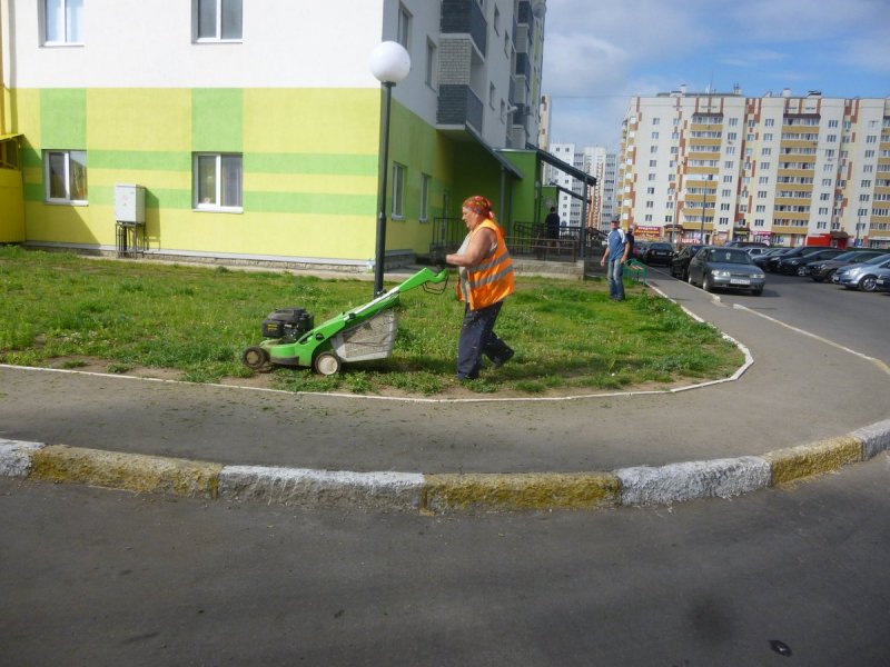 Газон у многоквартирного дома