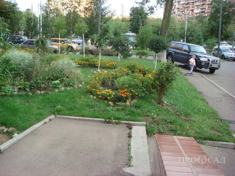 Клумбы возле подъезда