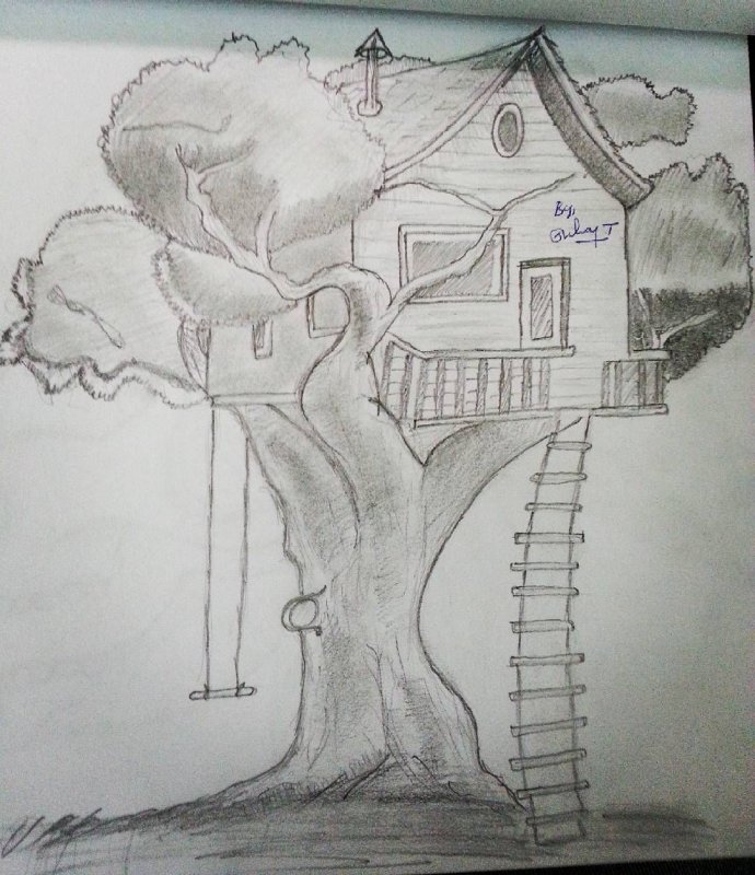 Drawings of Landscapes in Stages
