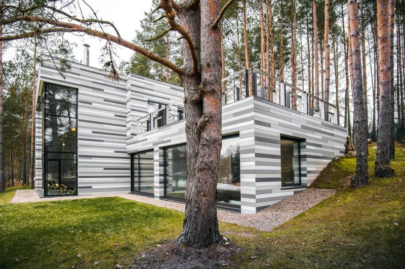 Barn House с плоской крыши