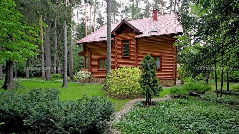 Сосновый Бор Подмосковье коттеджный поселок