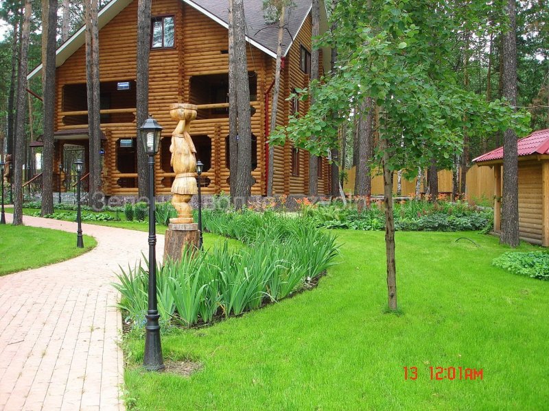 Загородный дом с соснами на участке