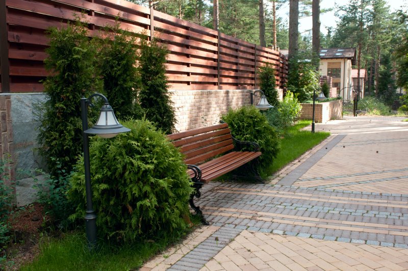 Серебряный Бор ландшафт