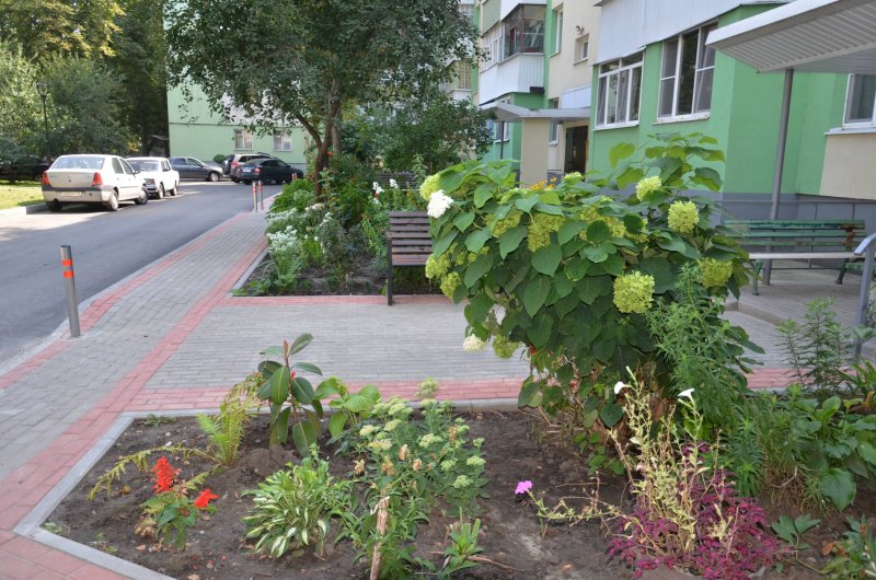 Благоустройство двора старого