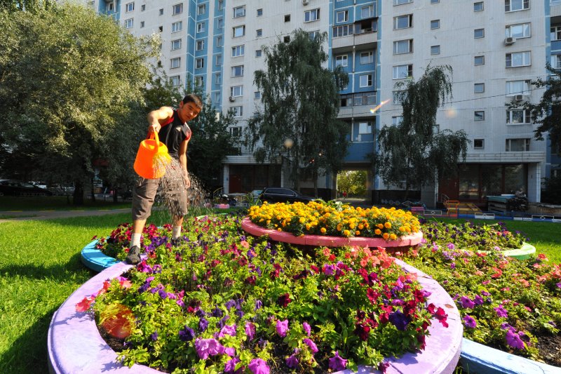 Клумбы во дворе многоэтажки