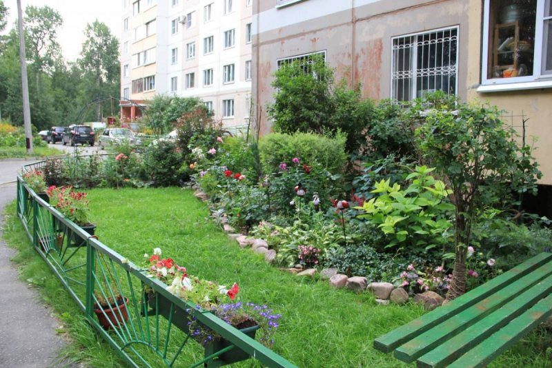 Палисадник в многоквартирном доме