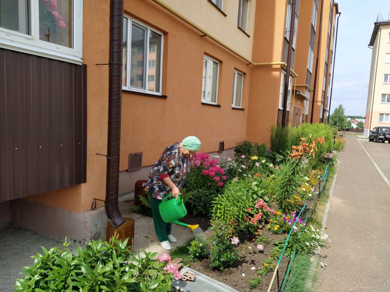 Открытие палисадника в Видное