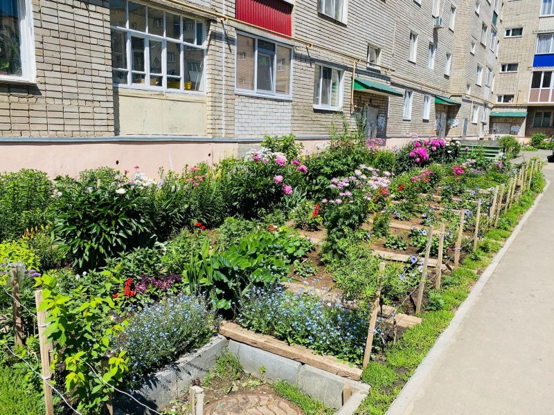 Палисадник у многоквартирного дома