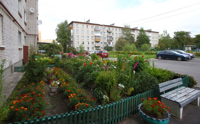 Красота возле подъезда
